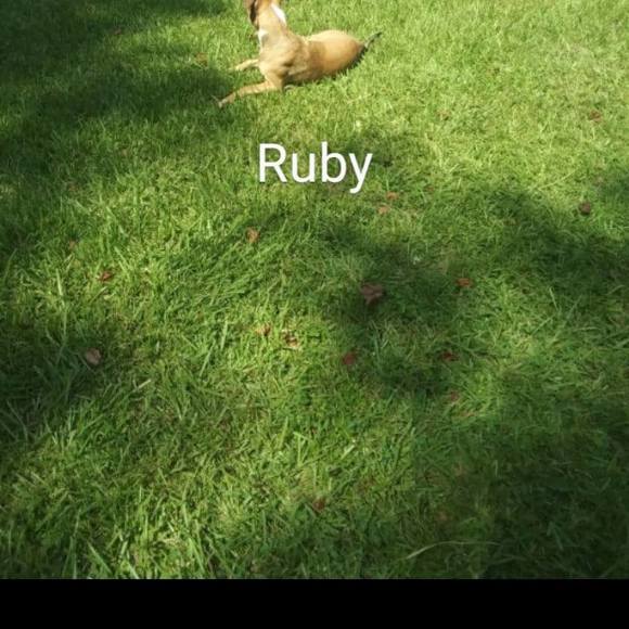 Meet your Posher, Caleb - Picture 1 of 1